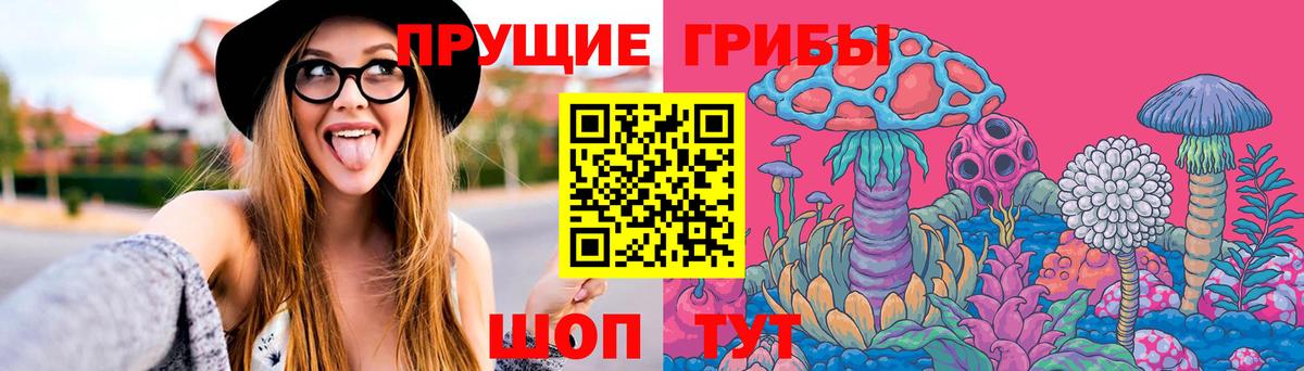 Озёрск  Псилоцибиновые грибы MAGIC MUSHROOMS  Псилоцибиновые грибы Cubensis  где продают наркотики  Вход с VPN 